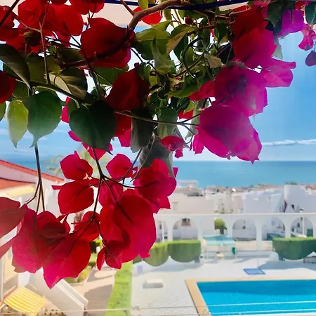 Seaview La Mata Pool&beach Διαμέρισμα *